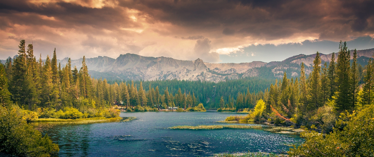 DDOS压力测试网页端