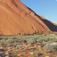 DDOS压力测试网页端