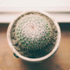 ddos攻击在哪能买到