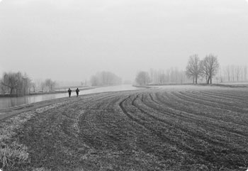 闪电发货的免费ddos压力测试平台