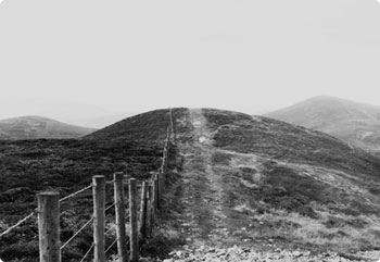 令人期待的免费ddos压力测试平台